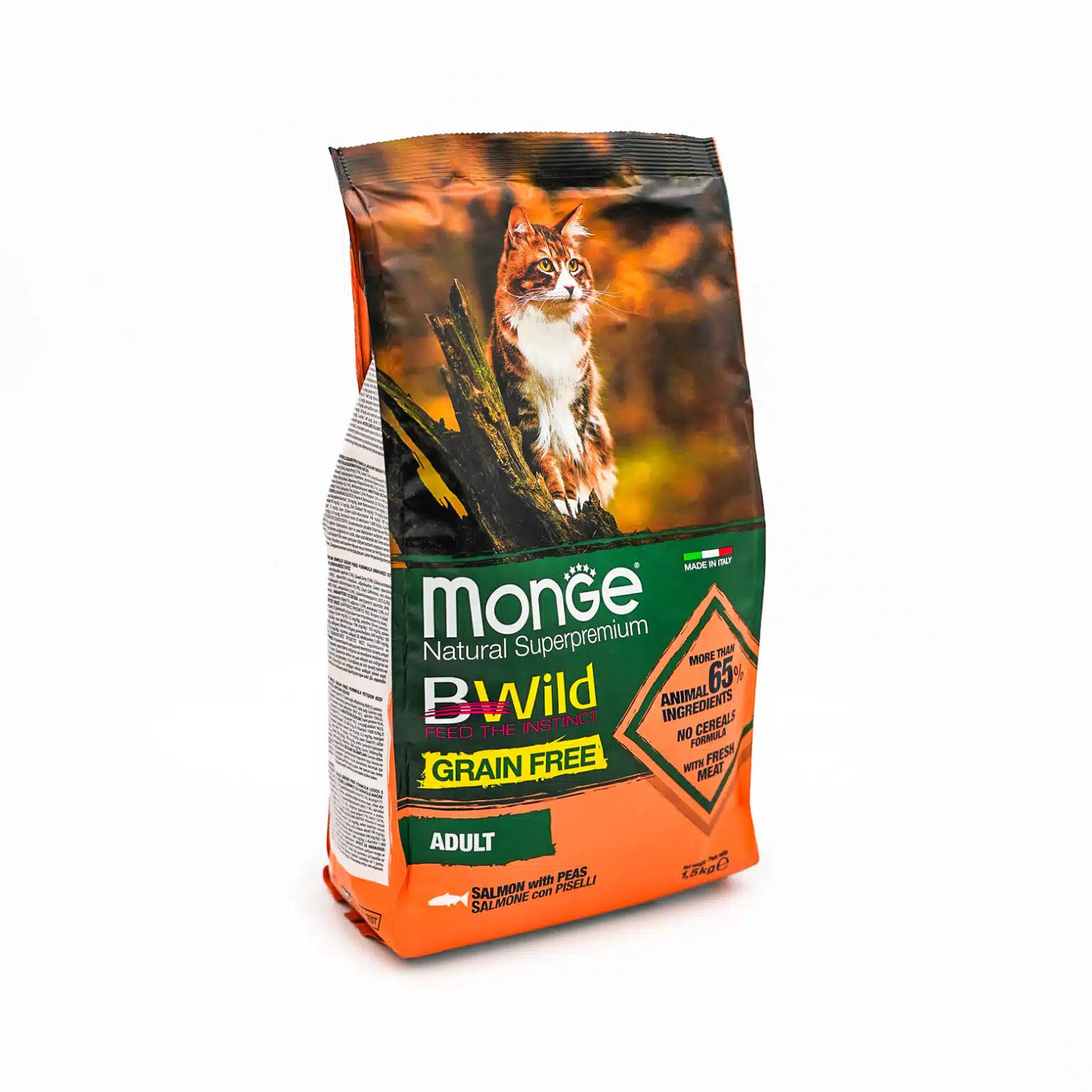 DSC00913-1536×1536.jpg DSC00913-1536×1536.jpg