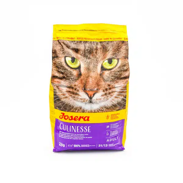 DSC00876-600×600.jpg DSC00876-600×600.jpg