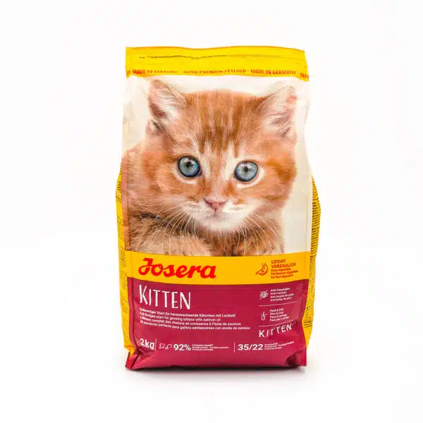 DSC00917-600×600.jpg DSC00917-600×600.jpg